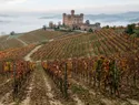 Subasta récord: USD 430.000 por 500 litros de Barolo que saldrá al mercado en 2029