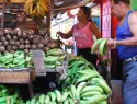 Precio del plátano podría llegar a RD$50 por unidad la próxima semana por sequía