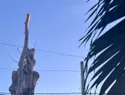 Noches calurosas en Santo Domingo se multiplican por seis en tres décadas por pérdida de vegetación
