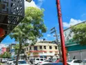 Dominicanos y haitianos dominan el empleo en las tiendas chinas del Barrio Chino y la avenida Duarte