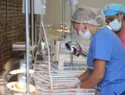 Salud Pública destaca reducción de muertes maternas e infantiles en 2026