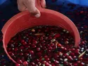 Terremoto en Colombia paraliza exportaciones de café: bloqueo en Buenaventura detiene el grano