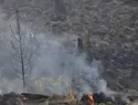 Controlan incendio forestal en Valle Nuevo tras 36 horas de labores