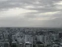 Ocho décadas tras el ciclón San Zenón: la capital dominicana pierde su arbolado y apenas conserva 15.4 % de cobertura vegetal
