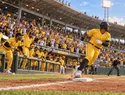 Las Águilas Cibaeñas han tenido el mejor desempeño en la pretemporada de LIDOM