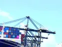 Casa Blanca señala a RD entre países usados para evadir aranceles; gobierno se desliga