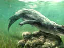 Hallan nueva especie extinta de cocodrilo en rocas de la Gran Esfinge de Guiza