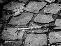 Mafias italianas habrían vetado la entrada de fentanilo al país, según investigadores