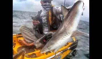 Pesca un tiburón y casi le cuesta una pierna