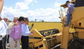 Agricultura inicia recolección de arroz de primavera en SFM