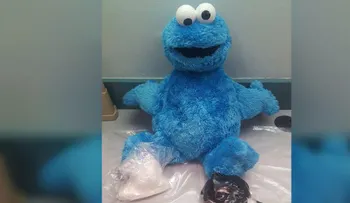 Monstruo Comecocaína: detienen a hombre que llevaba cocaína dentro de un muñeco