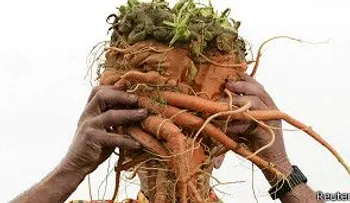¿Las zanahorias ayudan a ver en la oscuridad?