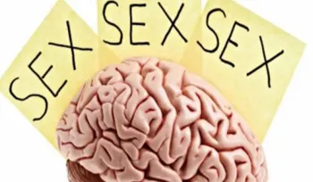 Si eres adicto al porno, así funciona tu cerebro
