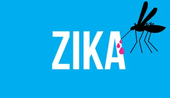 OMS dice que la transmisión sexual del zika es más común de lo pensado