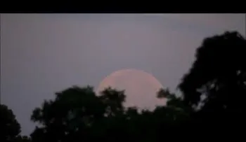 Así fue la luna de fresa, el deslumbrante fenómeno que se da casi 50 años (VIDEO)