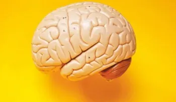 Aprender cosas nuevas te rejuvenece 30 años; descubren científicos de California