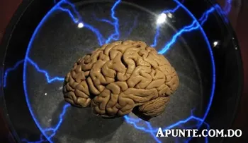 Investigadores aprenden a eliminar los malos recuerdos 
