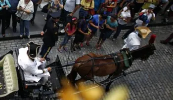 Puerto Rico: prohíben carruajes tirados por caballos 