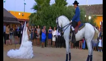 Expectacular baile de caballo con novia