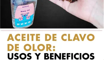 Mezcla aceite para bebe y clavos de olor, y luego de 10 segundos no usaras nada más en tu vida