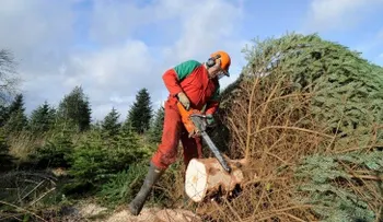 Revelado: Los mejores y peores trabajos del 2016