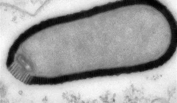 Científicos reviven virus gigante de 30.000 años de antigüedad 