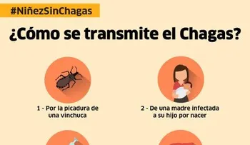 Estados Unidos aprueba un medicamento argentino contra enfermedad de Chagas