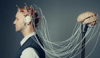 5 preguntas para saber si el cerebro humano es en realidad tan especial
