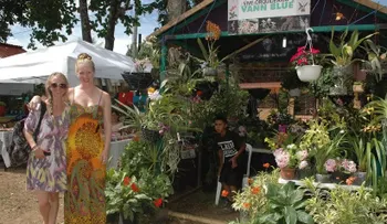 Jarabacoa â??Aventura, Cultura y Naturalezaâ?