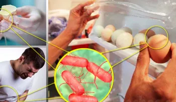 Tu salud corre un gran peligro si guardas los huevos en la nevera 