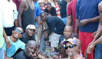 Encuentran tiburón de gran tamaño en playa Macao