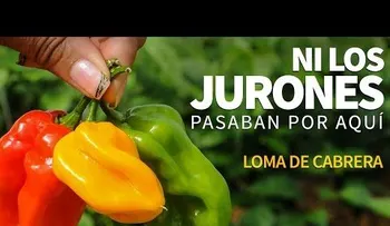 Loma de Cabrera, ni los jurones pasaban por aquí