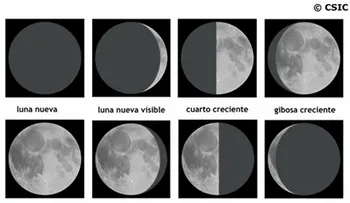 Las fases de la luna y su influencia en tu vida