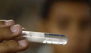 El Zika costará a Latinoamérica 4.000 millones de dólares