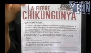 Efectos de la chikungunya podrían tardar años; más de 130 mil casos en República Dominicana 