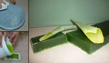Cómo preparar jabón de aloe vera casero y obtener todas las propiedades de esta planta medicinal