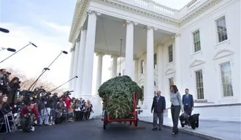 Llega enorme árbol navideño a la Casa Blanca