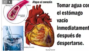 ¿Por qué tienes que tomar Agua con el estómago vacío? Muy pocos conocen el motivo