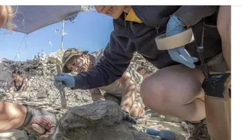 Nueva expedición busca completar hallazgo de un gigantesco dinosaurio de hace 120 millones de años