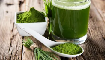 Algas de agua dulce: espirulina, chorela, klamath