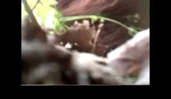 Graban a un "Pie Grande" en un bosque de EE.UU.
