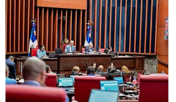 Senado aprueba de urgencia prohibición del foam