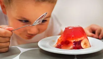 La gelatina favorece el proceso de digestión 