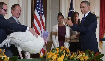 Obama indulta dos pavos por Día de Acción de Gracias 