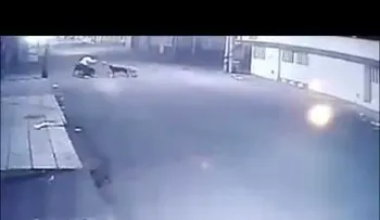 Perros callejeros atacan a una indefensa mujer (FUERTE VIDEO)