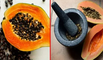 Las semillas de lechosa: Uno de los mejores remedios para la salud...Increíble
