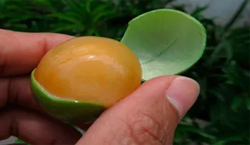 Esta pequeña fruta, cura el insomnio y los nervios dañados. Todos sus beneficios aquí