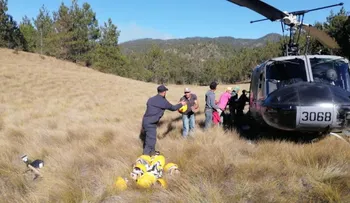 Medio Ambiente controla incendio de los parques nacionales José del Carmen Ramírez y José Armando Bermúdez