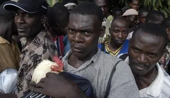 Detienen a 17 haitianos indocumentados en un islote puertorriqueño