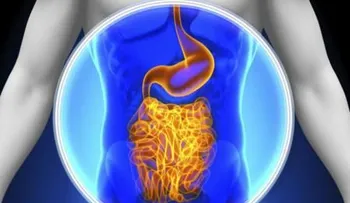 Las bacterias intestinales existen antes que el ser humano, según estudio
